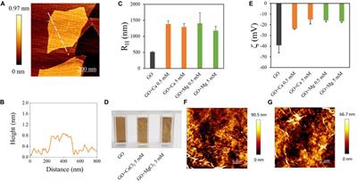 Graphene Oxide Nano-Concentrators Selectively Modulate RNA Trapping According to Metal Cations in Solution